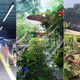 Illustration for article titled Singapore Is Turning a Cross-Country Railroad Into the Worlds Longest High Line